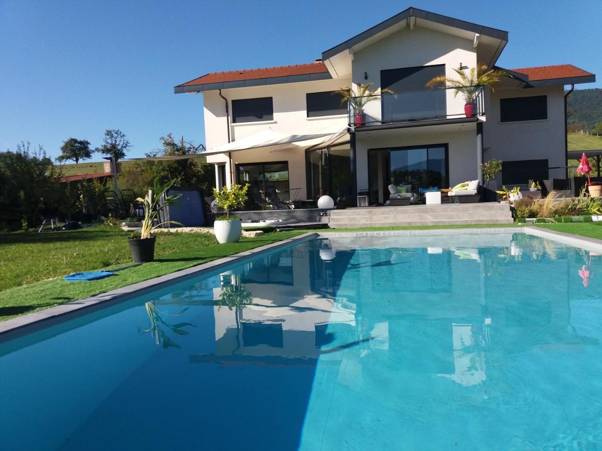 Chambres, Cuisine, Piscine, Spa, Billards, Airhockey, Nature Fillinges Екстер'єр фото