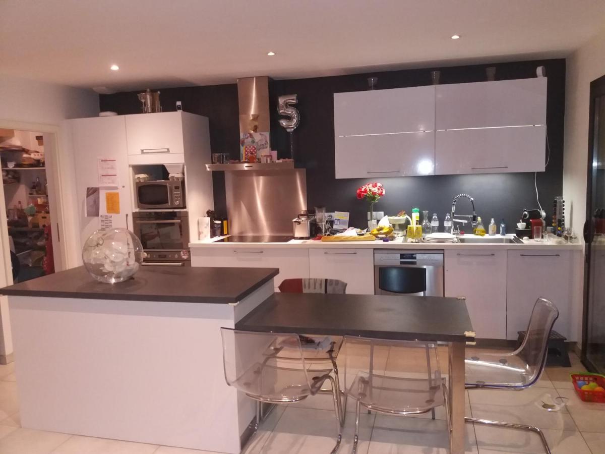 Chambres, Cuisine, Piscine, Spa, Billards, Airhockey, Nature Fillinges Екстер'єр фото